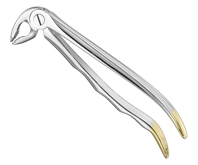 Extracting Forceps Anatom