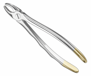 Extracting Forceps Anatom
