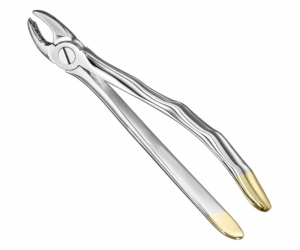 Extracting Forceps Anatom
