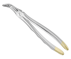 Extracting Forceps Anatom