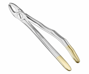 Extracting Forceps Anatom