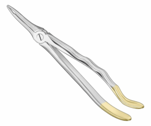 Extracting Forceps Anatom