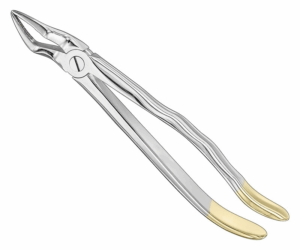 Extracting Forceps Anatom