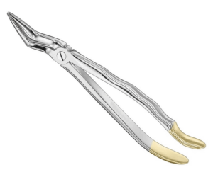 Extracting Forceps Anatom