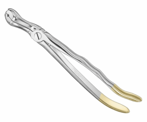 Extracting Forceps Anatom