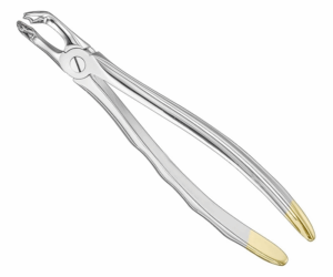 Extracting Forceps Anatom